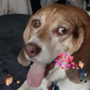 Meet your Posher, Karen